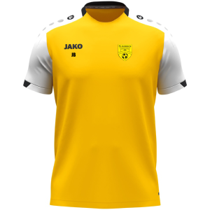 TEE SHIRT DYNAMIC ENFANT
