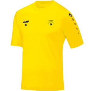 TEE SHIRT ENTRAINEMENT ADULTE